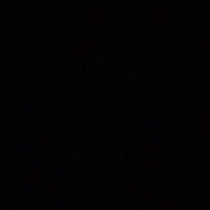 Meet your Posher, Danitza